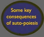 Some consequences of auto-poiesis