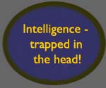 Intelligence: trapped in the head!