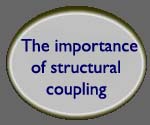 The Importance of Structural Coupling