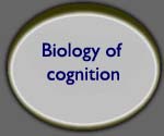 Biology of Cognition