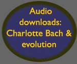 Audio downloads